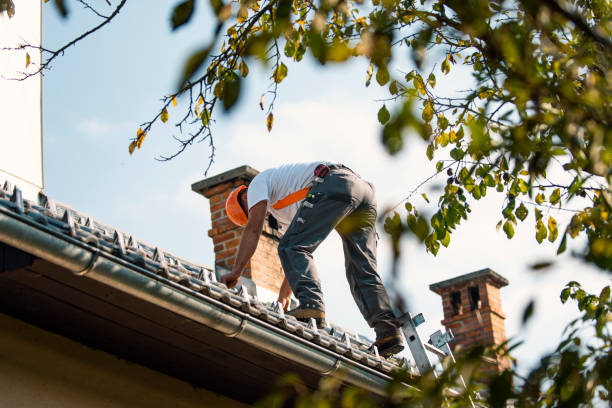 Best Steel Roofing  in Rainelle, WV