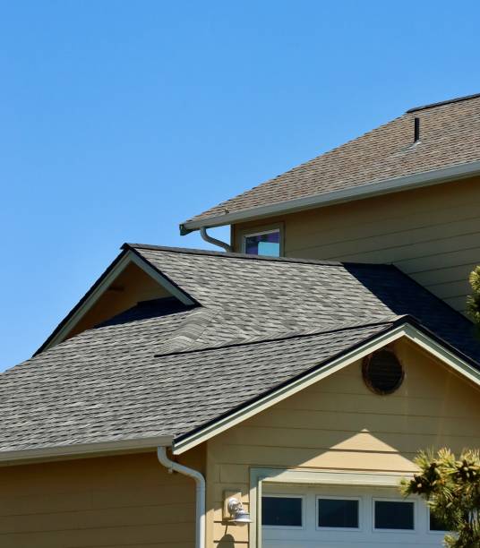 Best Sheet Metal Roofing  in Rainelle, WV